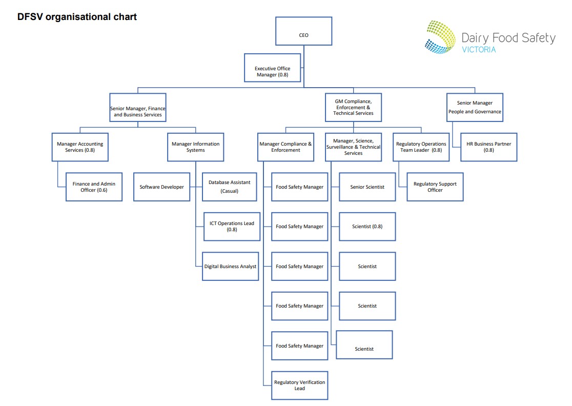 DFSV Organisational Chart February 2024 Deidentified 