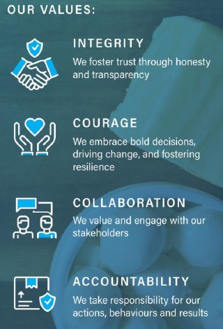 DFSV Values
